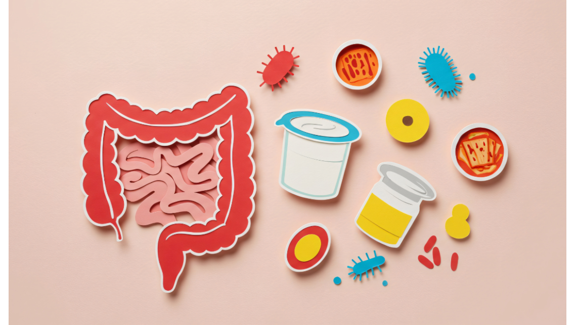 Probiotici a gennaio: perché aiutano dopo gli eccessi delle feste Probiotici a gennaio: perché aiutano dopo gli eccessi delle feste