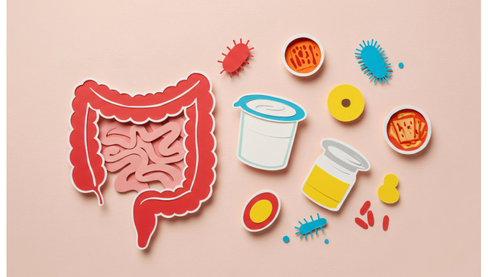 Probiotici a gennaio: perché aiutano dopo gli eccessi delle feste Probiotici a gennaio: perché aiutano dopo gli eccessi delle feste