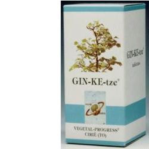 GIN KE TZE 600MG 80TAV