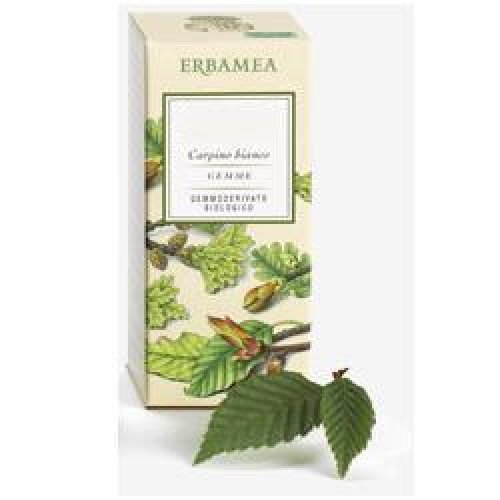 ERBAMEA AESCULUS HIP 50ML