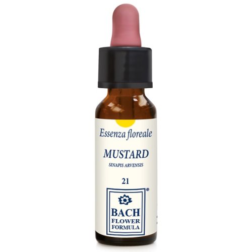 MUSTARD ORIGINAL 10ML GTT EBV