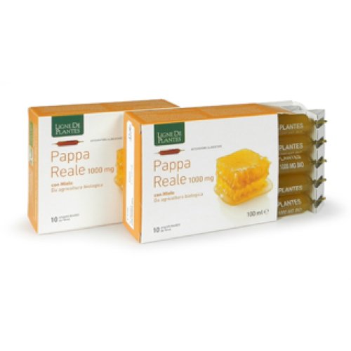 PAPPA REALE BIO 1000MG10AM