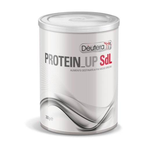 PROTEIN UP SDL            300GR      BAR