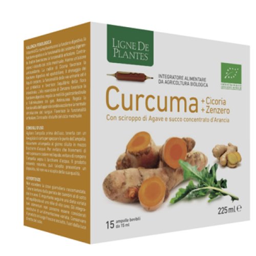 CURCUMA CICORIA ZENZERO 15FLL