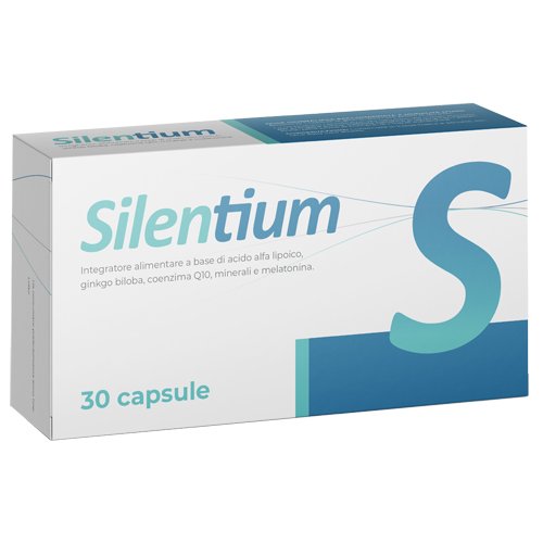 SILENTIUM 30CPS SEIKOU