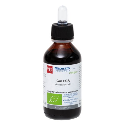 GALEGA TM 100ML BIO