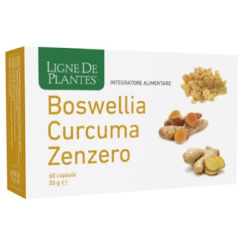 BOSWELLIA CURC ZEN 60CPS