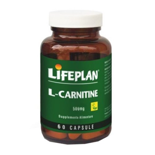 L-CARNITINE 500MG60CPS ALG