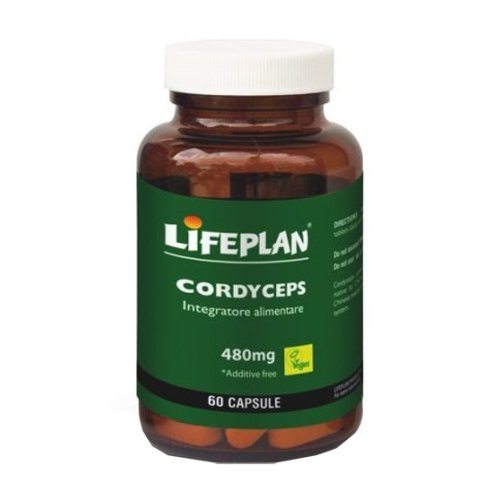 CORDYCEPS 60CPS LIFEPLAN