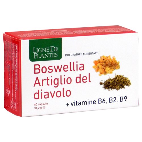 BOSWELLIA+ART D+VIT 60CPS