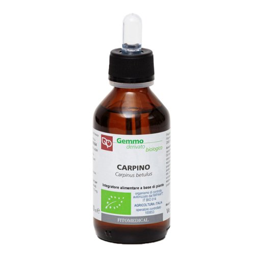 CARPINO MG 100ML BIO