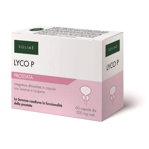 <LYCO P SOLIME'                   60 CPS
