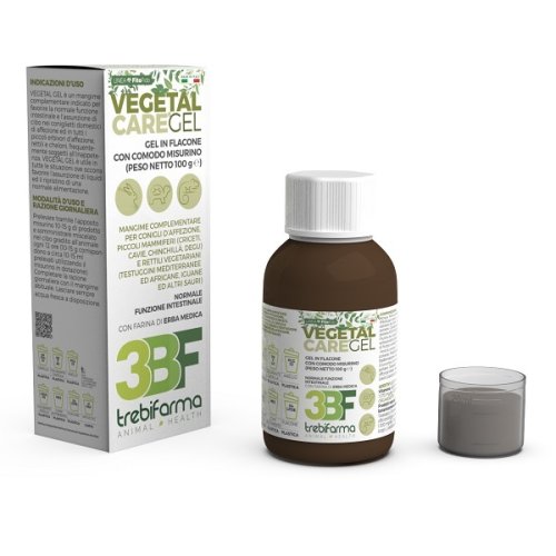 VEGETAL CARE GEL 100G