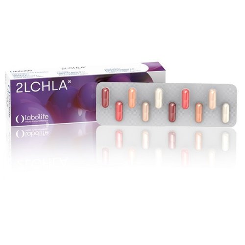 <2LCHLA                           30 CPS