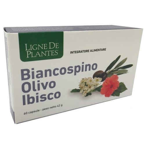 BIANCOSPINO OLIV IBIS60CPS