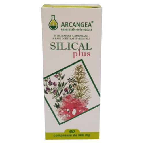 SILICAL PLUS 60COMPRESSE