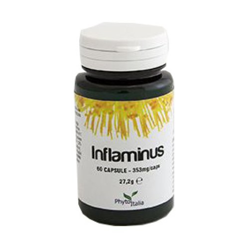 INFLAMINUS INT 33,6G 60CPS