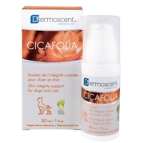 DERMOSCENT CICAFOLIA DOGS&CAT        FLA
