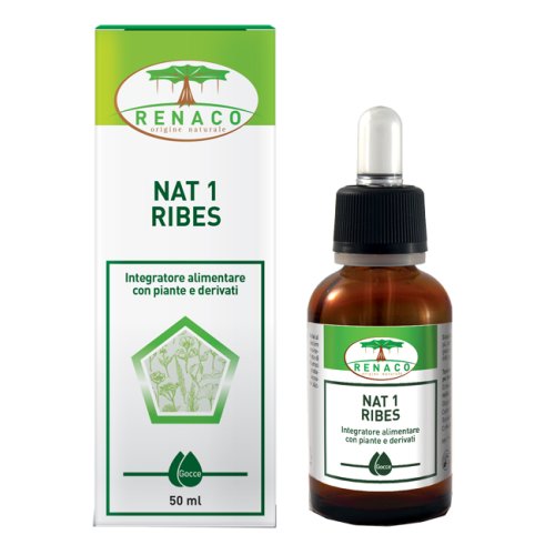 <NAT 1 RIBES RI GROUP     50ML       GTT