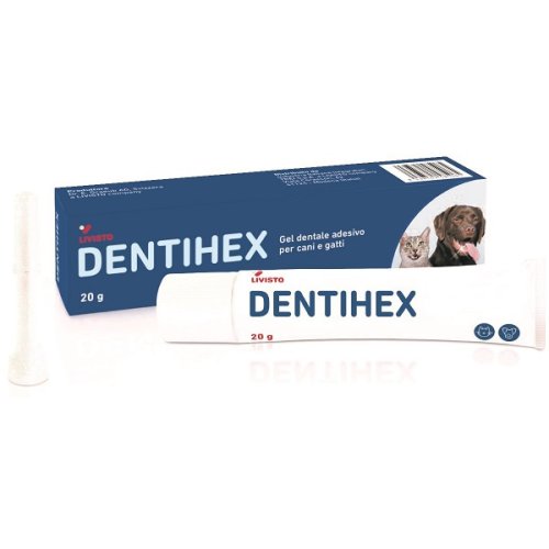 DENTIHEX GEL DENTALE ADES C/G