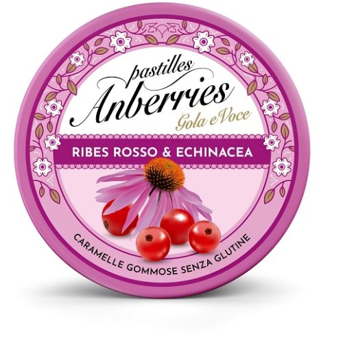 ANBERRIES RIBES ROS&ECH50G