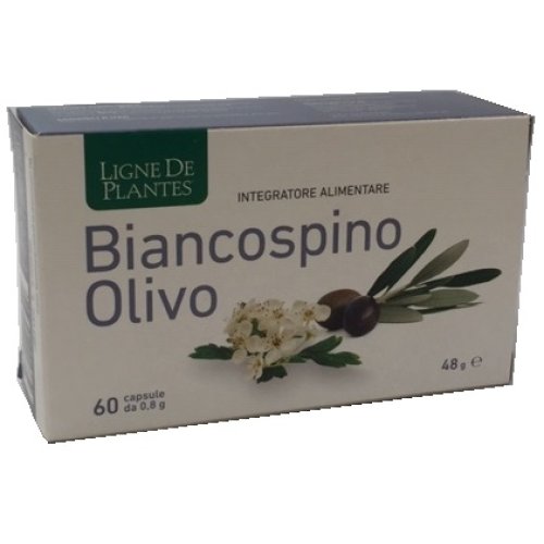 LIGNE BIANCOSPINO OL 60CPS