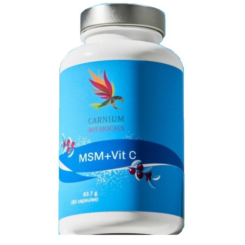 CARNIUM BOT MSM+VIT C 90CPS