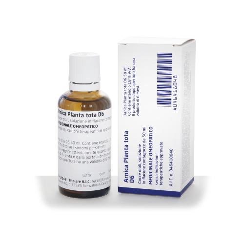 <ARNICA P.T.D6 *          50ML       GTT