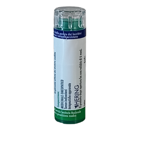 LEDUM PALUSTRE 5CH 120GR 6G