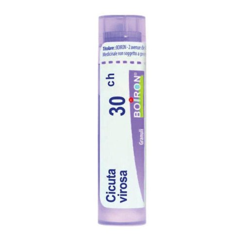 <CICUTA VIROSA BOI * 30CH GRA <CICUTA VIROSA BOI * 30CH GRA