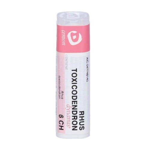 RHUS TOXICODENDRON DYN*5CH GR