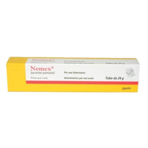 NEMEX 24G PASTA CANI