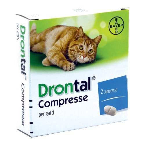 DRONTAL GATTO 2CPR