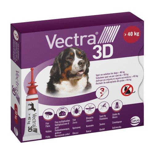 VECTRA 3D SPOT-ON CANI+40K