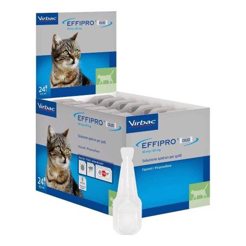 EFFIPRO DUO GATTO 24PIP