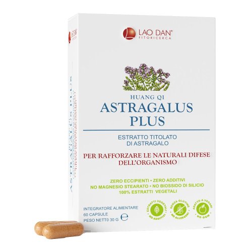 ASTRAGALUS PLUS 60CPR LAO ASTRAGALUS PLUS 60CPR LAO