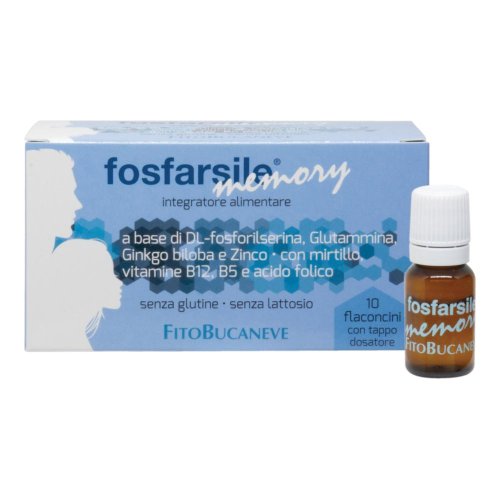 FOSFARSILE MEMORY INT 10FLNI