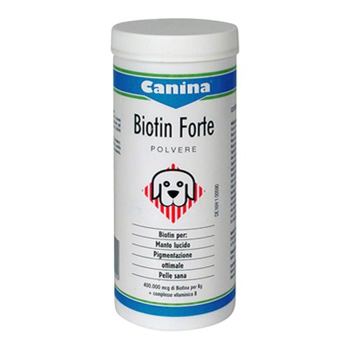 BIOTIN FORTE POLVERE 100G