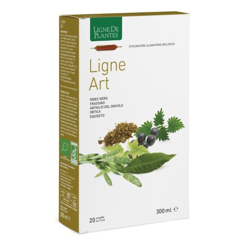 LIGNE ART 20AMPOLLE 15ML