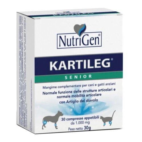 KARTILEG SENIOR                  60  TAV