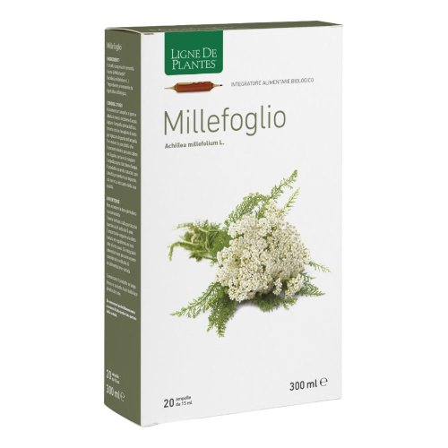 LIGNE DE PLAN.M/FOG20A10ML LIGNE DE PLAN.M/FOG20A10ML