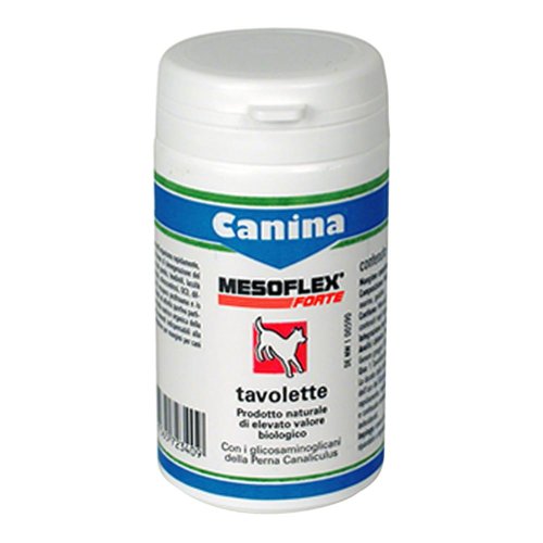 MESOFLEX FORTE 120 TAV