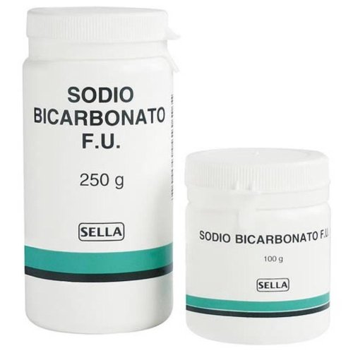 SODIO BICARB POLV 250G