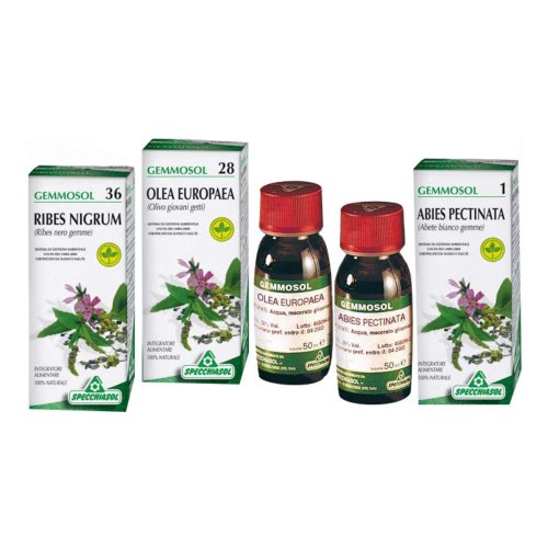 GEMMOSOL 50 VISCHIO 50ML GEMMOSOL 50 VISCHIO 50ML