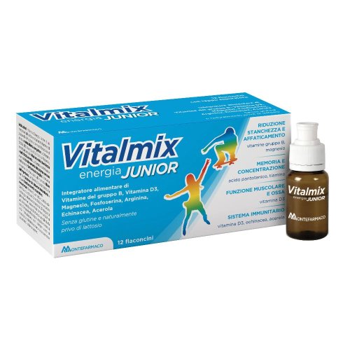 VITALMIX JUNIOR INT 12FL