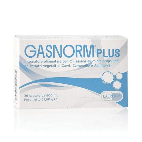GASNORM PLUS INT ALIM 36CPS 23,4G