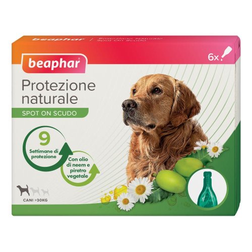 PROTEZIONE NAT SPOT ON C TG 6P