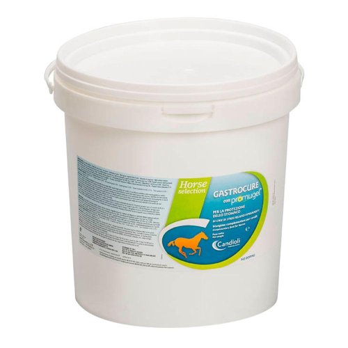 GASTROCURE                2,6KG