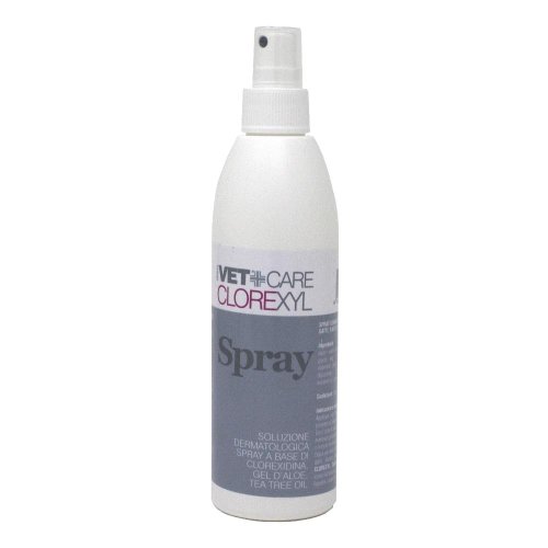 CLOREXYL SOLUZIONE SPRAY  150ML      SPR