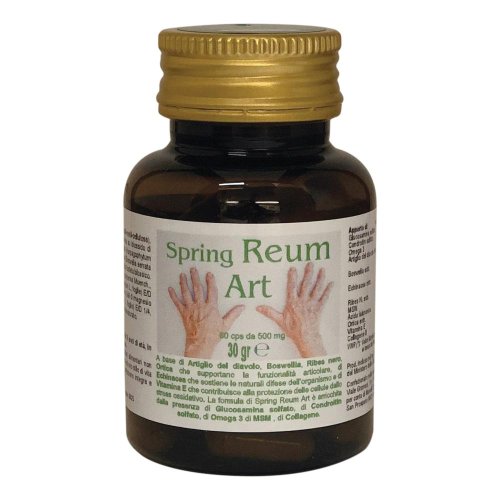 SPRING REUM ART INT 60CPS